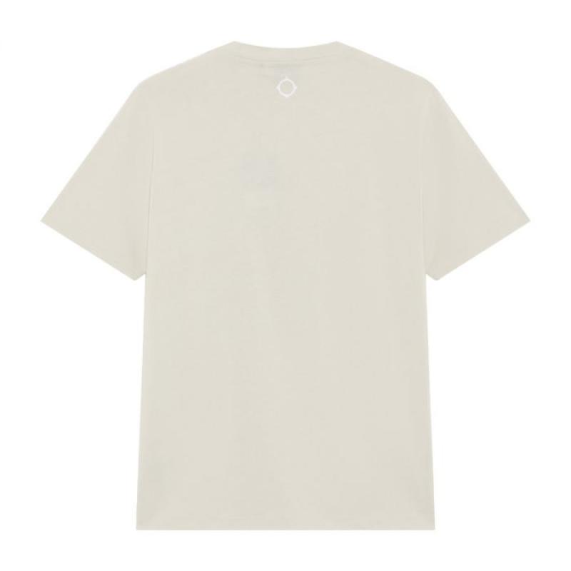 CC LOGO PRINT SS TEE Aluminium